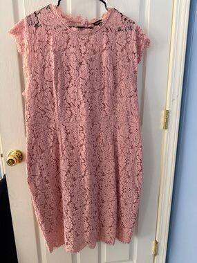 Pink Lace Cap-Sleeve Shift Dress 3X